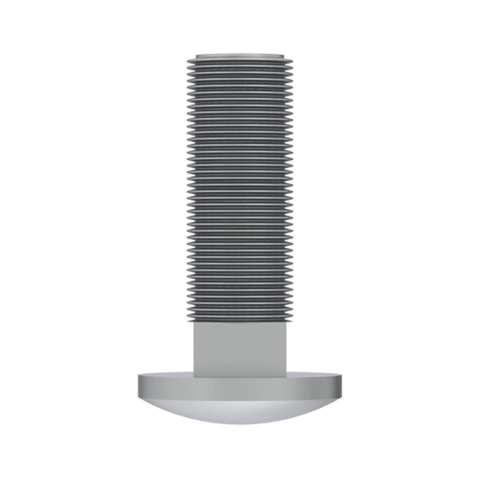 Carriage Bolt 5/16