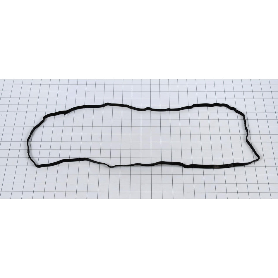 JLG Part # 04132598 - DTZ - GASKET