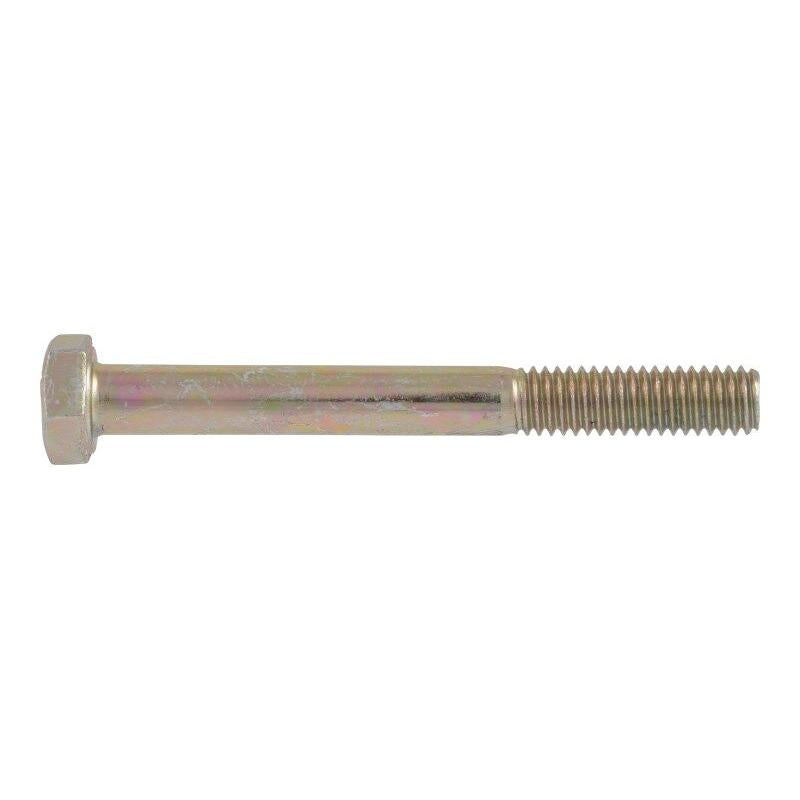 JLG Part # 0700619 - SCR CAP HH 8.8. 6-1.00X55MM