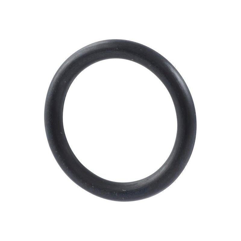 JLG Part # 1001009163 - O'RING. SEAL