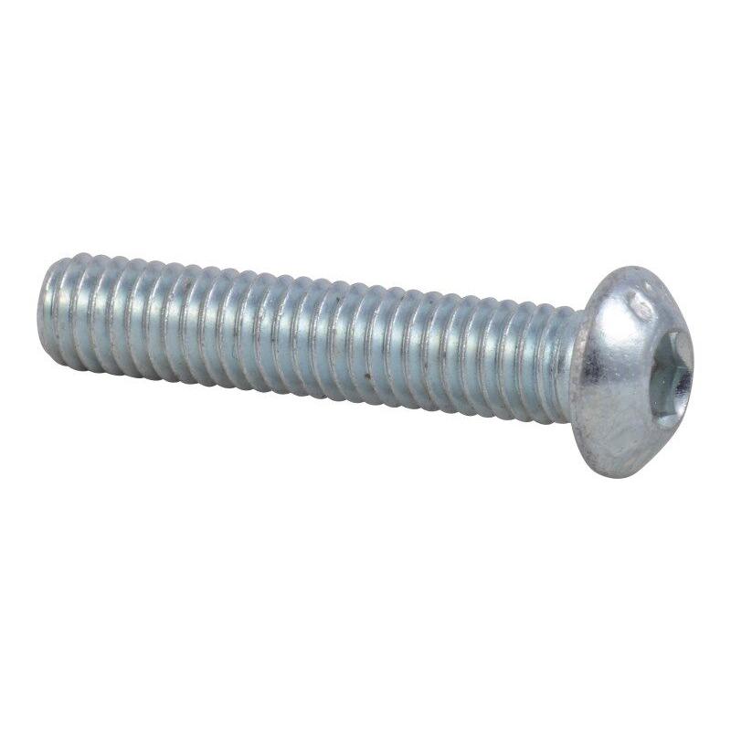 JLG Part # 1001097202 - BOLT. M6 X 30 BUTTON HEAD