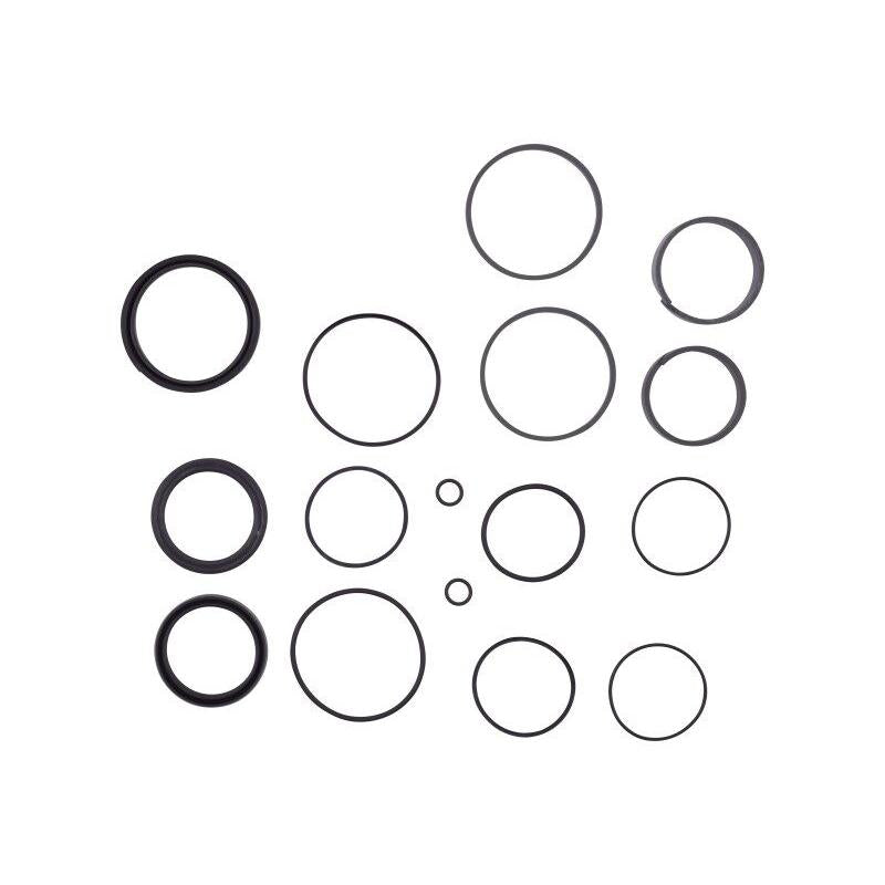 JLG Part # 1001164313 - SEAL. KIT