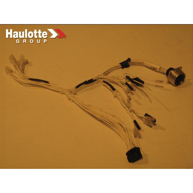 Haulotte Part # 118B169610 - UPPER CONTROL BOX HARNESS
