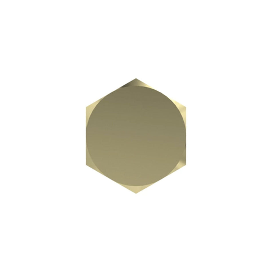 Cap Screw 1/2