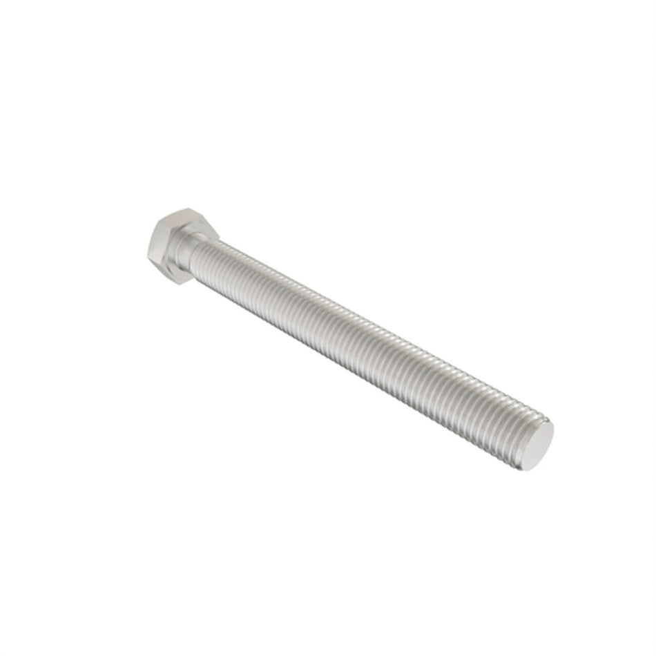 Cap Screw M10 X 100 - 19M8241
