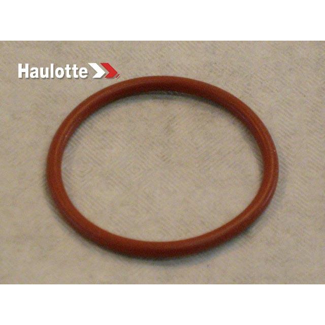 Haulotte Part # 2324004730 - DIESEL PUMP SEAL