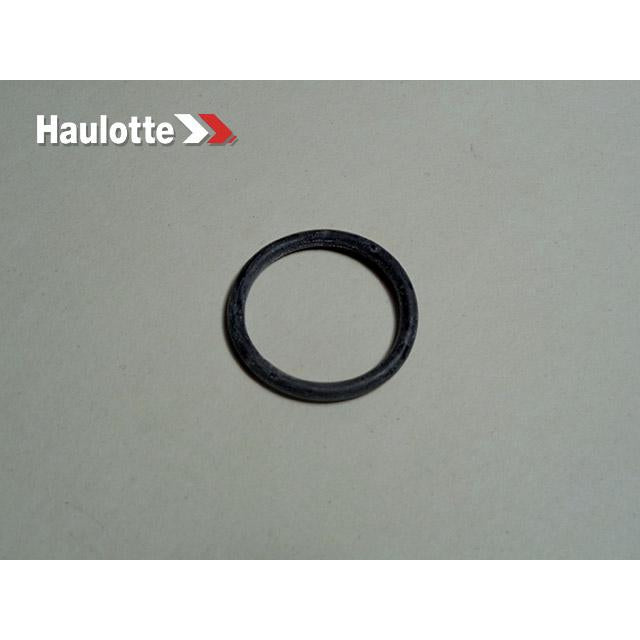 Haulotte Part # 2324005560 - SEAL