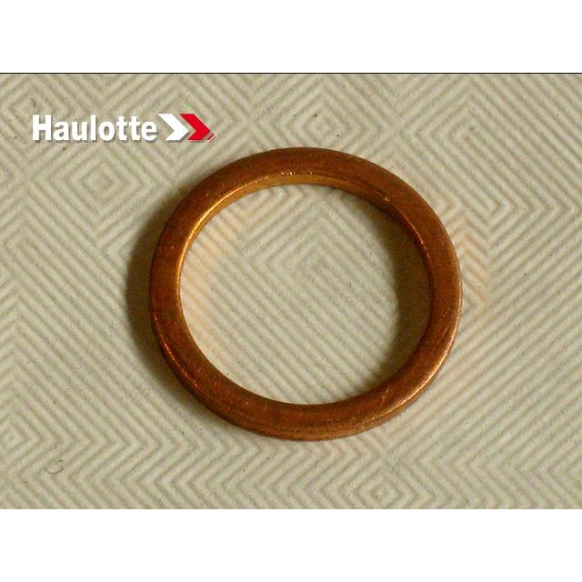 Haulotte Part # 2325002980 - WASHER
