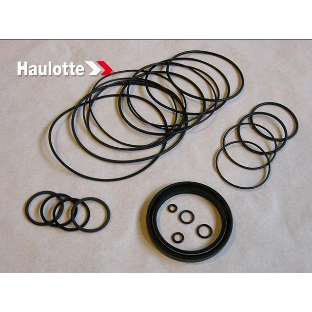 Haulotte Part # 2325002990 - SEALS KIT