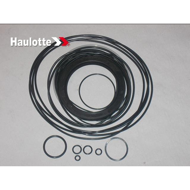 Haulotte Part # 2325003150 - SEAL KIT
