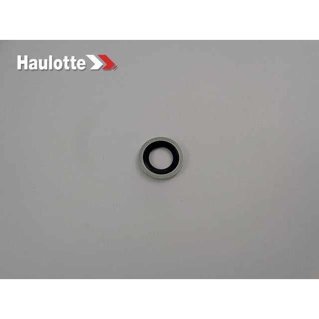 Haulotte Part # 2326017700 - WASHER
