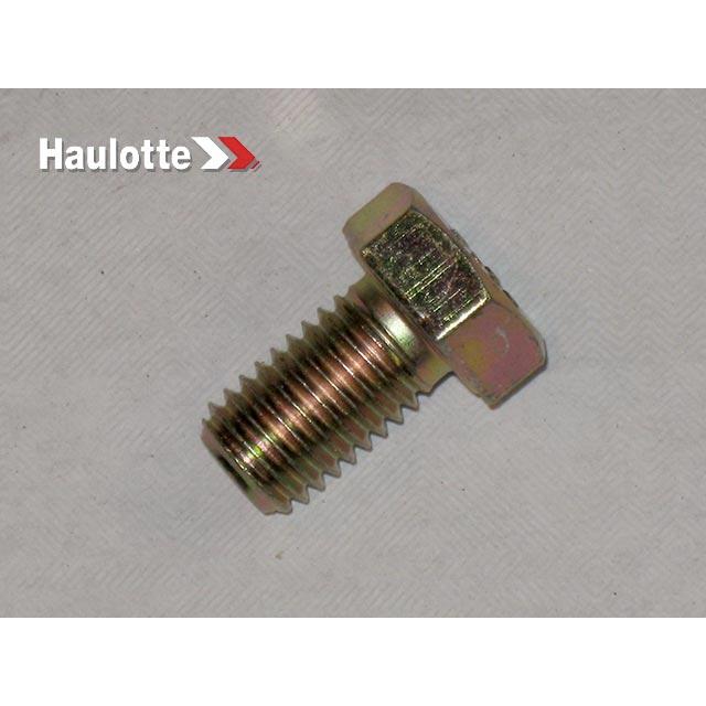 Haulotte Part # 2331231720 - SCREW - HEXAGONAL CAP
