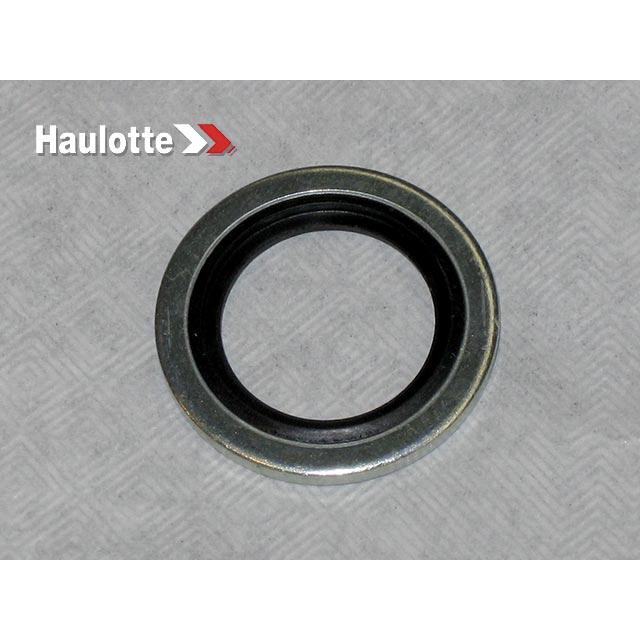 Haulotte Part # 2390150920 - RING