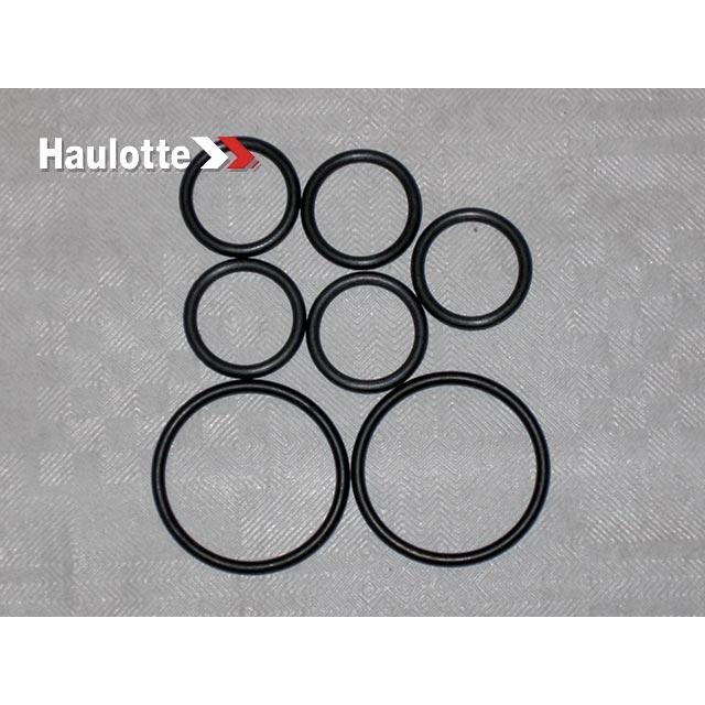 Haulotte Part # 2399004440 - PACK OF 5 CETOP/UNIT SEALS