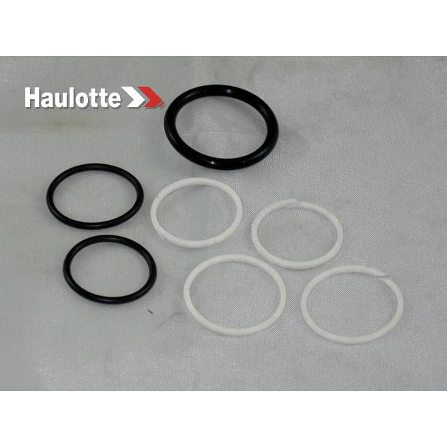 Haulotte Part # 2421003110 - SEAL