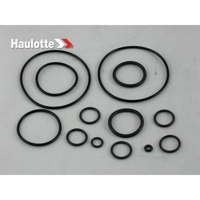 Haulotte Part # 2421003130 - SEAL