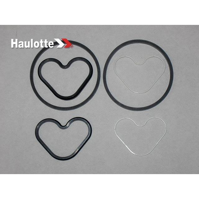 Haulotte Part # 2421003390 - SET OF SEALS FOR UNIT