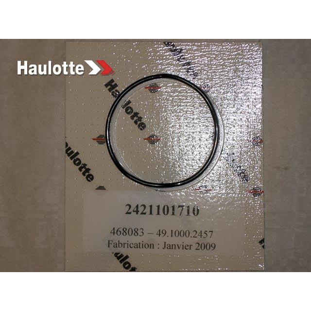 Haulotte Part # 2421101710 - SEALS KIT