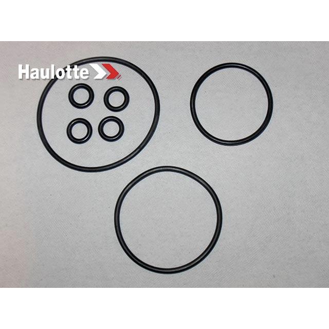 Haulotte Part # 2421610140 - SEALS KIT