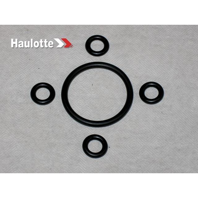 Haulotte Part # 2421610800 - SEALS KIT