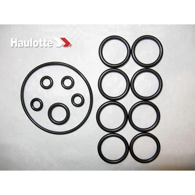 Haulotte Part # 2421610820 - SEALS KIT