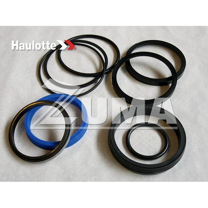 Haulotte Part # 2421611250 - SEALS KIT