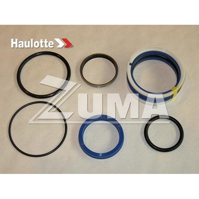 Haulotte Part # 2421690550 - BAG OF SEALS