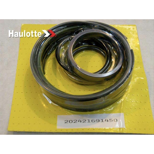 Haulotte Part # 2421691450 - SEAL KIT DIPPER ARM JACK