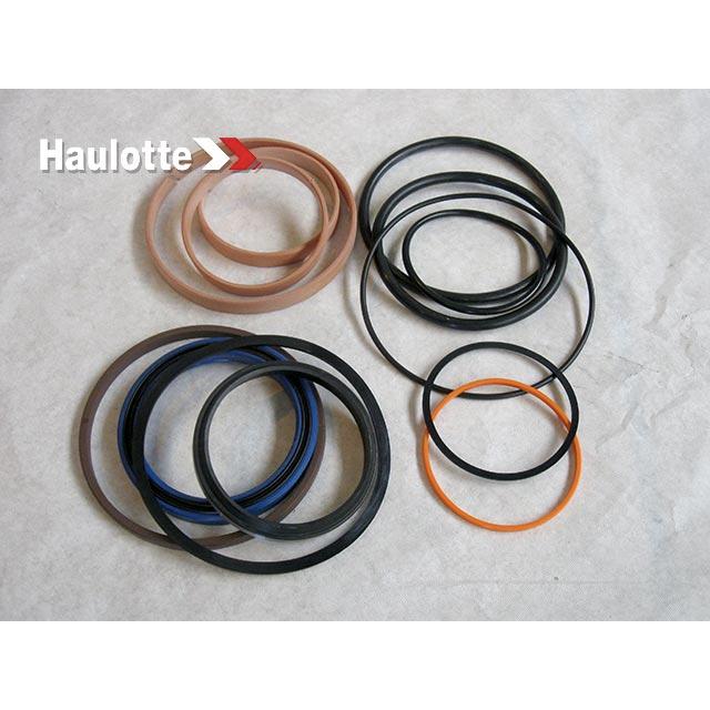 Haulotte Part # 2421691860 - SEAL KIT