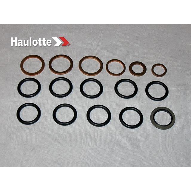 Haulotte Part # 2421692130 - PACK / SEALS/ DIST.HCD 2/4 HA