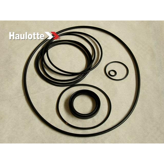 Haulotte Part # 2421692460 - PACK/REDUCER SEALS CWD201