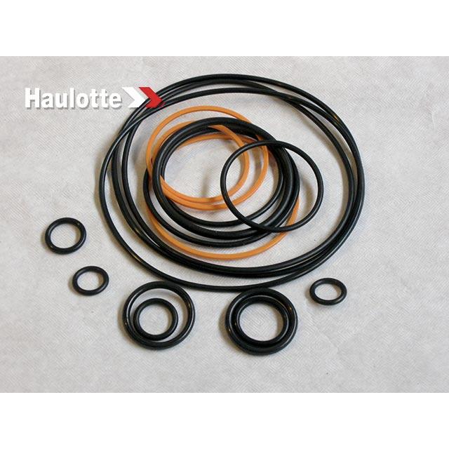 Haulotte Part # 2421693110 - PACK / SEALS FOR EATON MOTOR