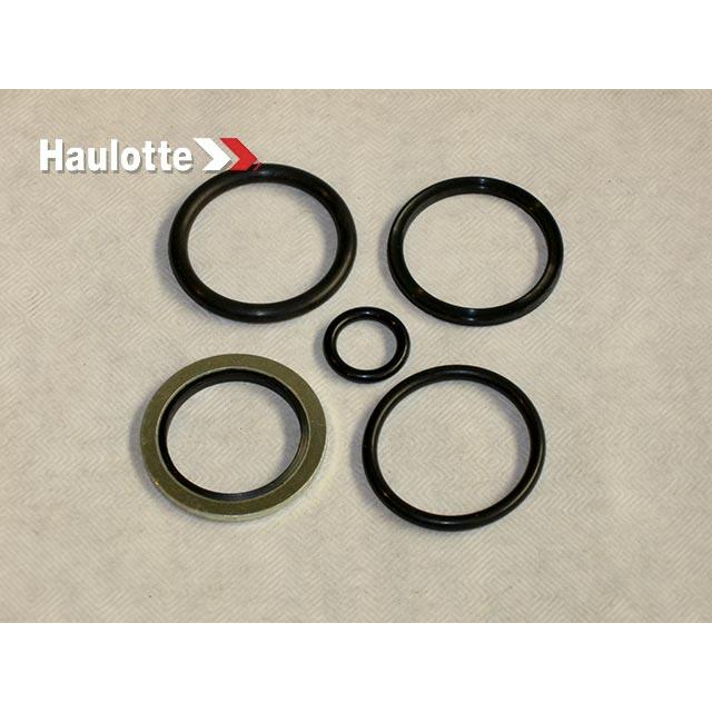 Haulotte Part # 2421693550 - SEALS KIT