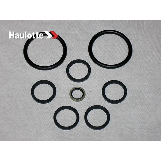 Haulotte Part # 2421693560 - PACK / SEALS