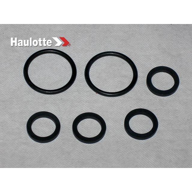 Haulotte Part # 2421693600 - SEALS KIT