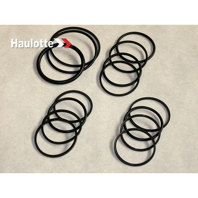 Haulotte Part # 2421693630 - SEALS KIT