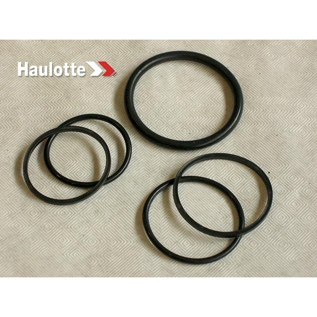 Haulotte Part # 2421693970 - PACK/SEALS FOR DIST