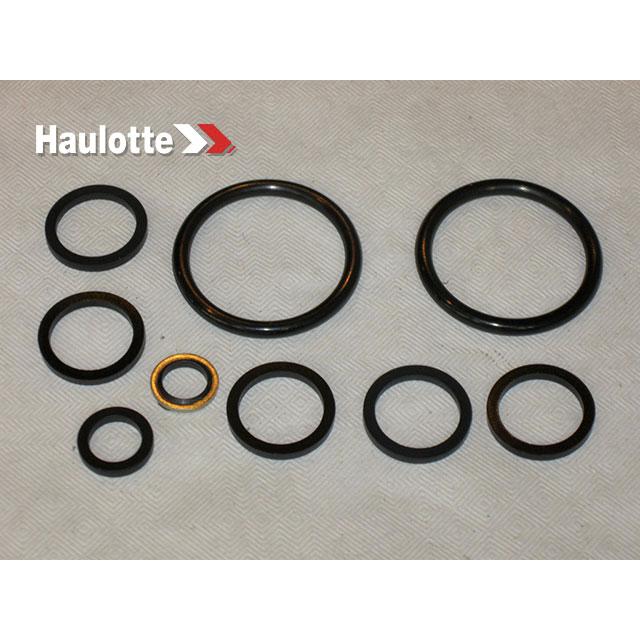 Haulotte Part # 2421693980 - PACK/SEALS FOR ELECT NG10