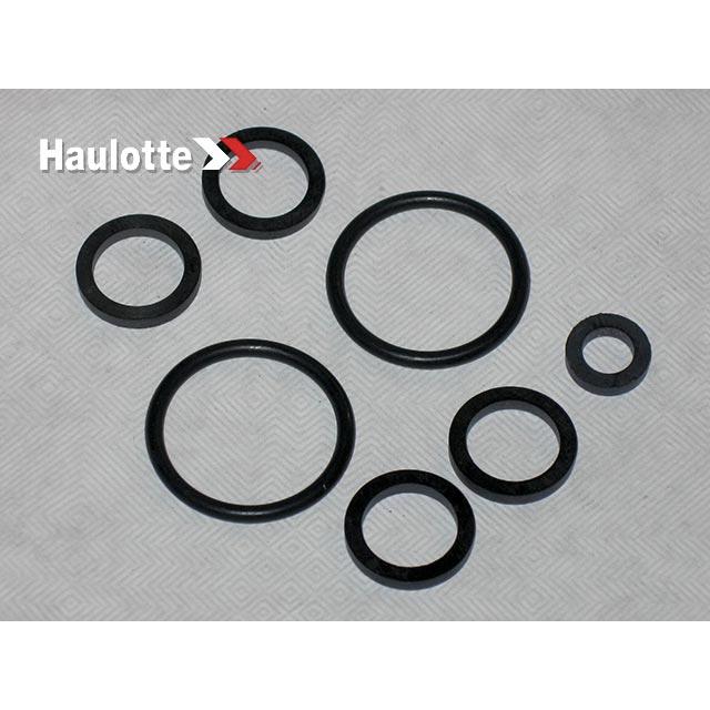 Haulotte Part # 2421693990 - PACK/SEALS FOR ELECT NG6