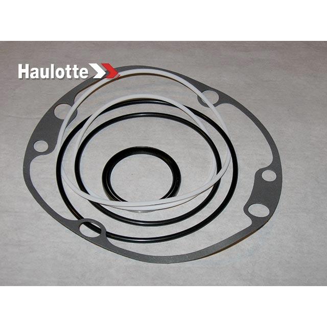 Haulotte Part # 2421694000 - PACK / SEALS FOR BRAKE