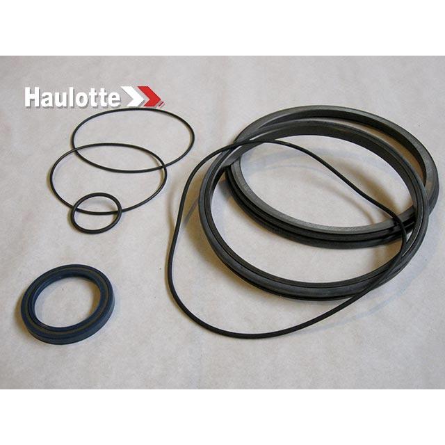 Haulotte Part # 2421694110 - PACK / SEALS FOR REDUCER