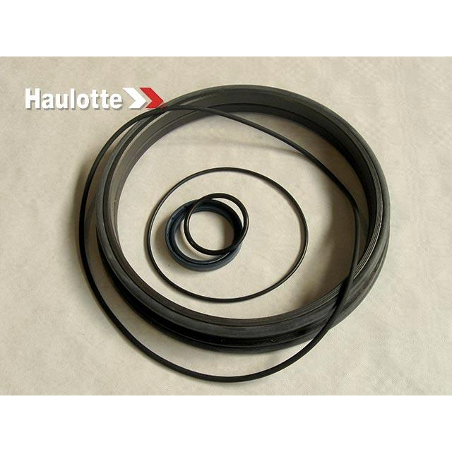 Haulotte Part # 2421694120 - SEAL KIT
