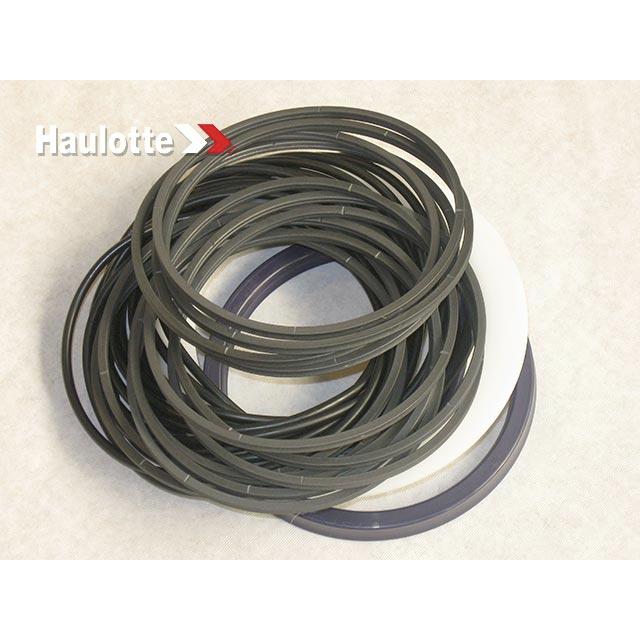 Haulotte Part # 2421699059 - SEALS KIT