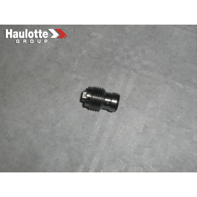 Haulotte Part # 2421906390 - SELECTOR