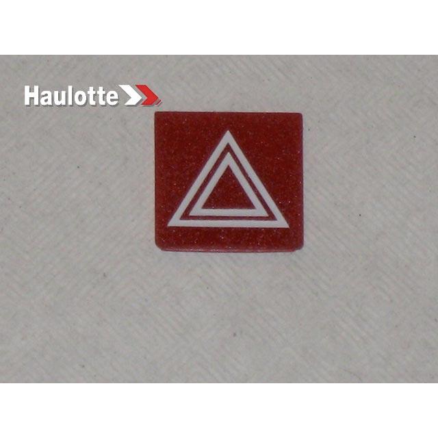 Haulotte Part # 2441905090 - LABEL