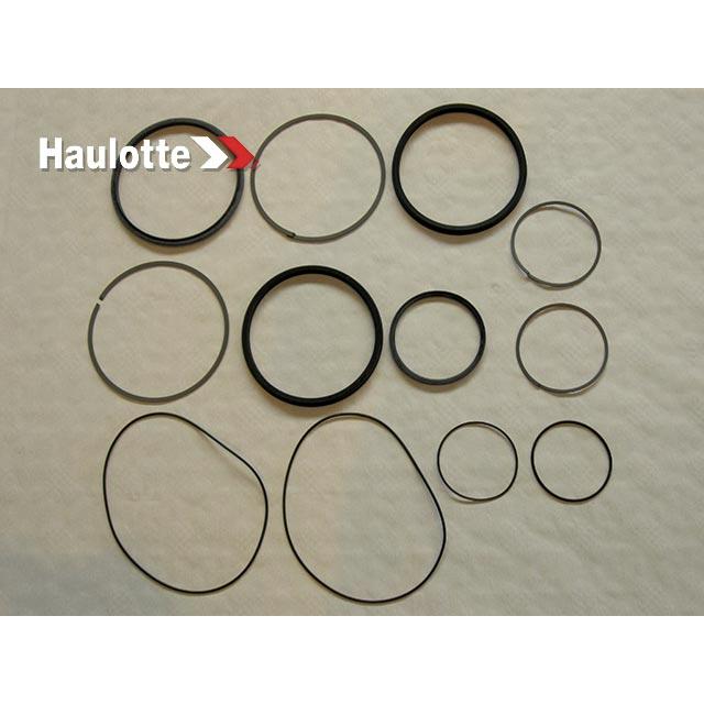 Haulotte Part # 2504000680 - SEALS KIT