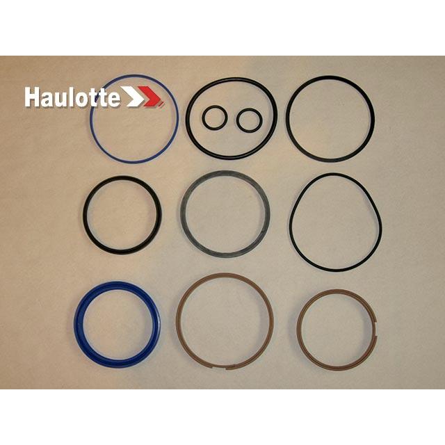 Haulotte Part # 2504001060 - SEAL KIT