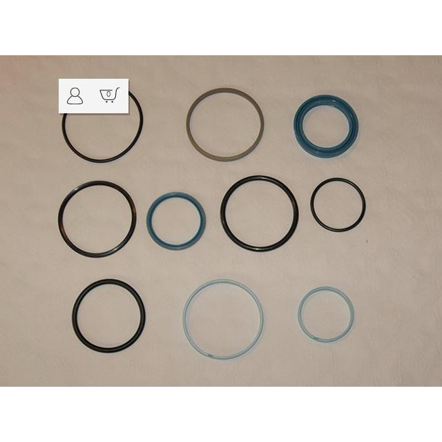 Haulotte Part # 2504001550 - SEALS KIT