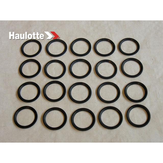 Haulotte Part # 2505001150 - SEAL