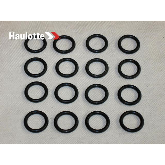 Haulotte Part # 2505001200 - SEAL